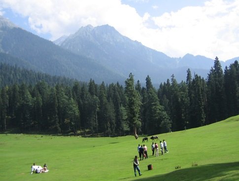 Hills of Kashmir Tour and Travels